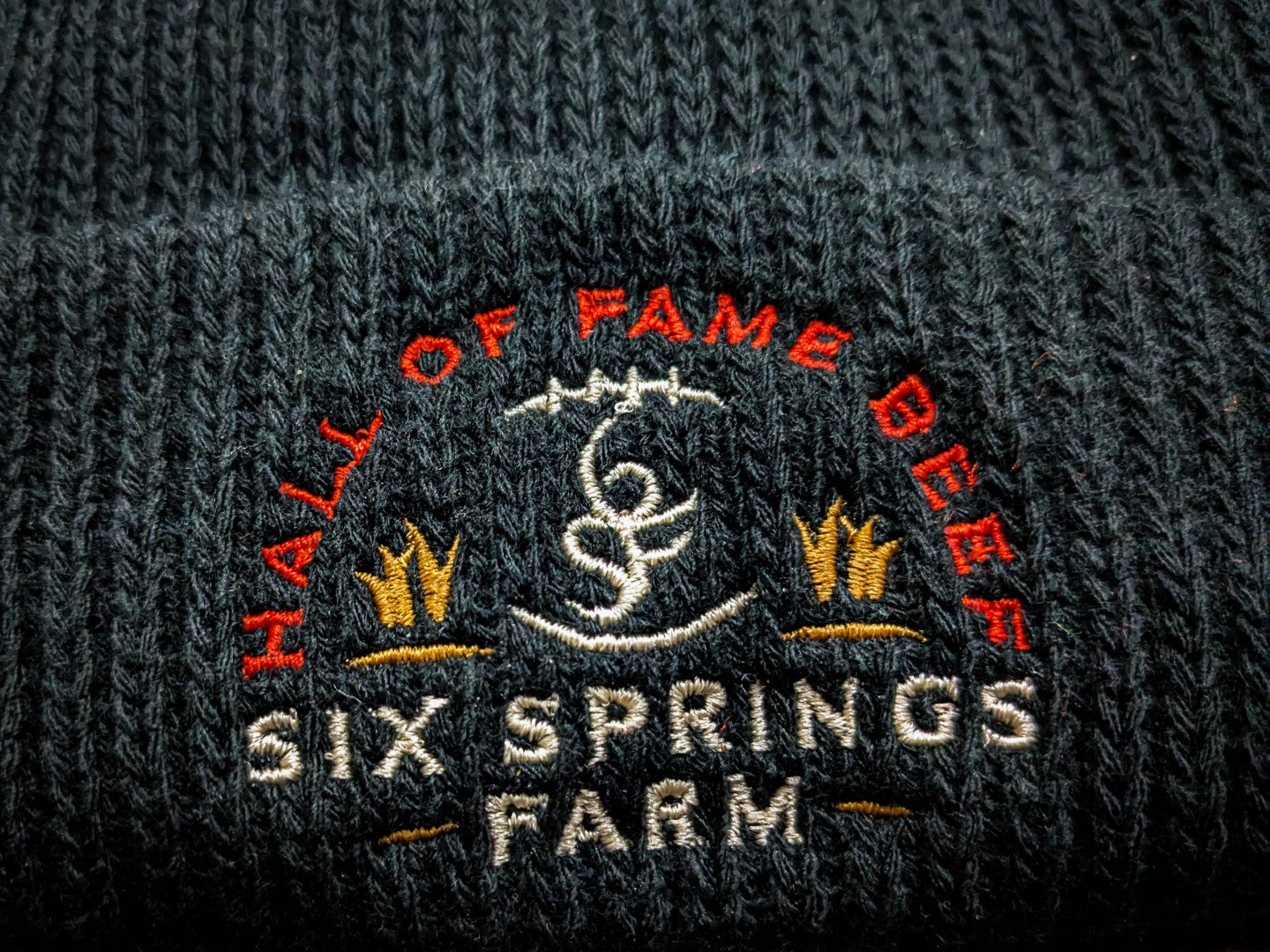 Six Springs Beanie